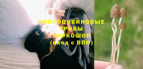амф Абинск
