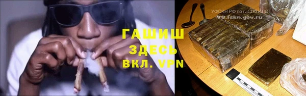 PSILOCYBIN Алзамай