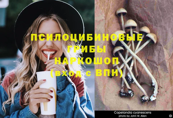 PSILOCYBIN Алзамай
