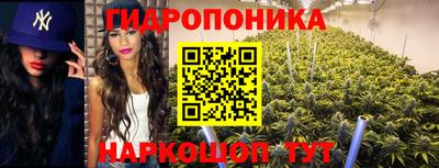 СК Дубна