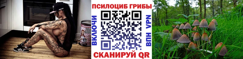 наркошоп OMG зеркало Галлюциногенные грибы прущие грибы Кызыл