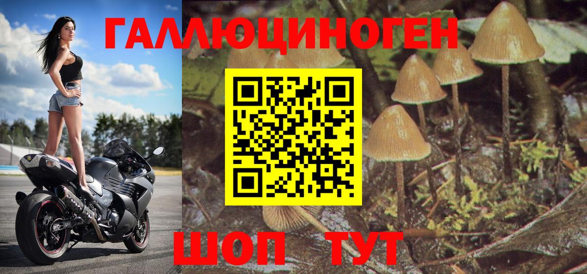 Кызыл  Псилоцибиновые грибы ЛСД  Вход с VPN  Псилоцибиновые грибы Magic Shrooms 