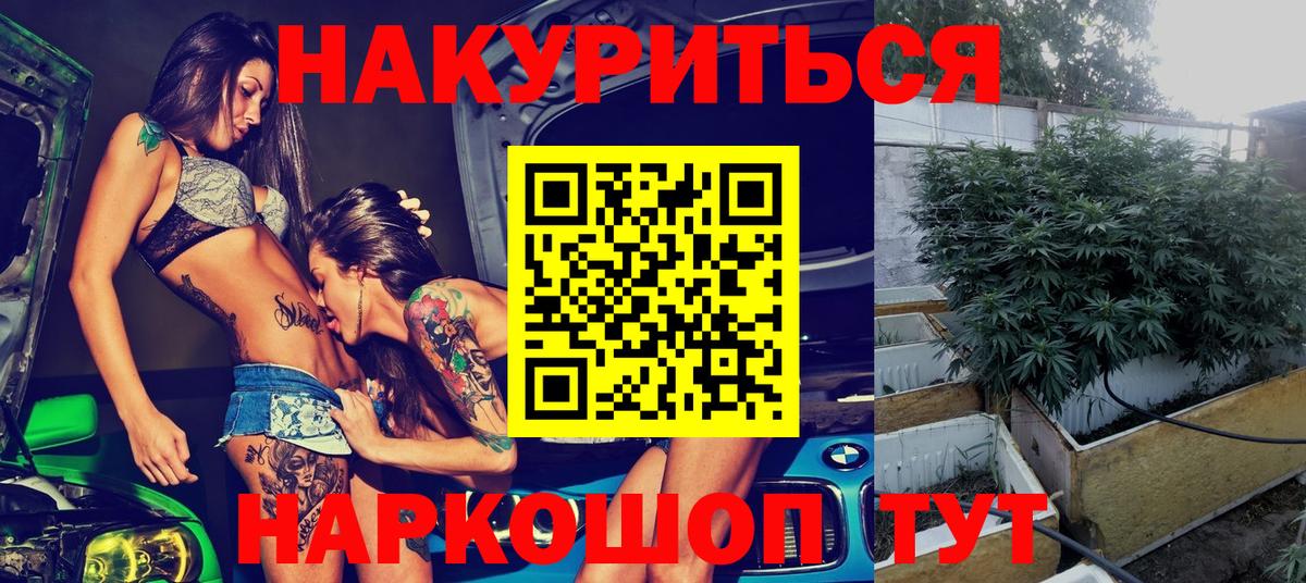 Каннабис индика Кызыл
